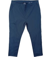 Pánské outdoorové kalhoty DALRY REGATTA