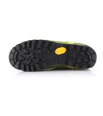 Unisex outdoorová obuv NEVISE ALPINE PRO 485