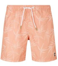 Pánské plážové kraťasy TT_1029970 Tom Tailor