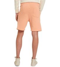 Pánské bavlněné kraťasy TT-1030619 Tom Tailor 